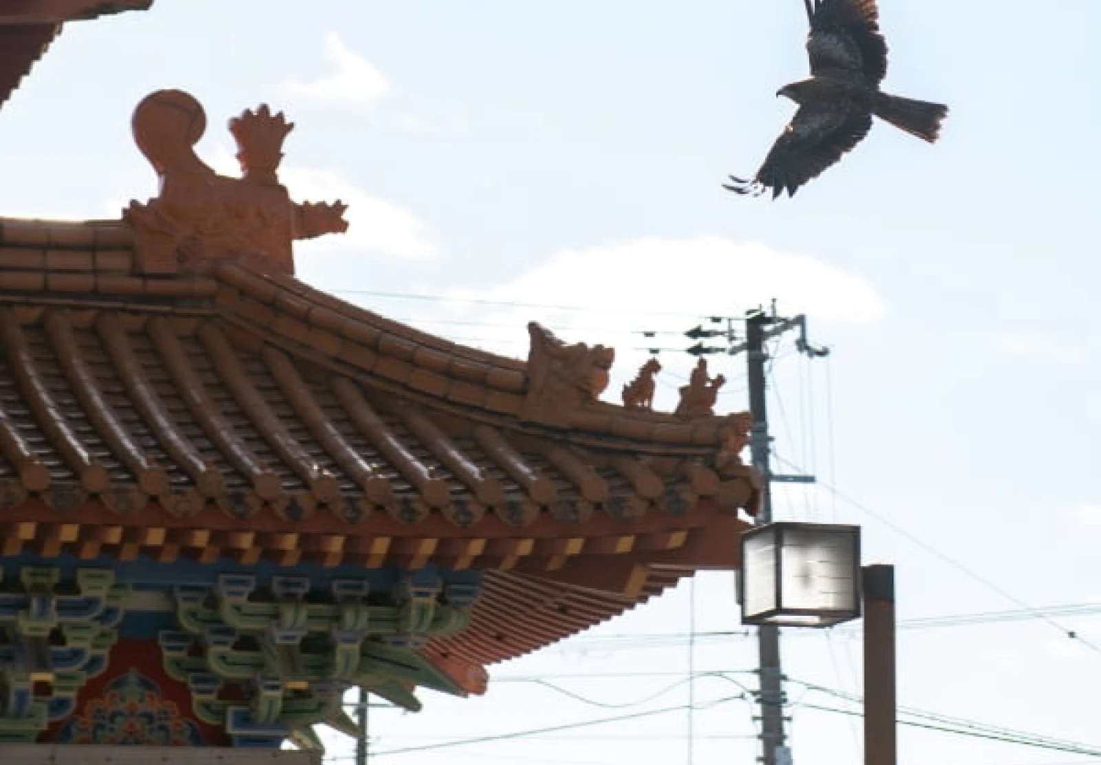 暮らしている私たちにとっては日常の一風景になっている新宮城跡や徐福公園。