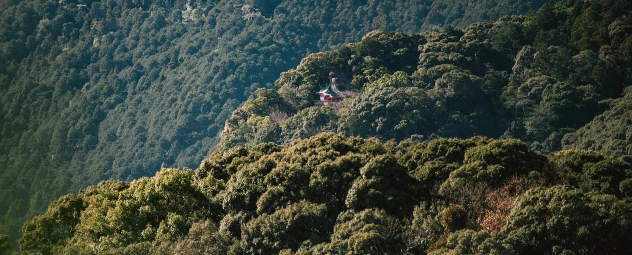 熊野の新宮という街