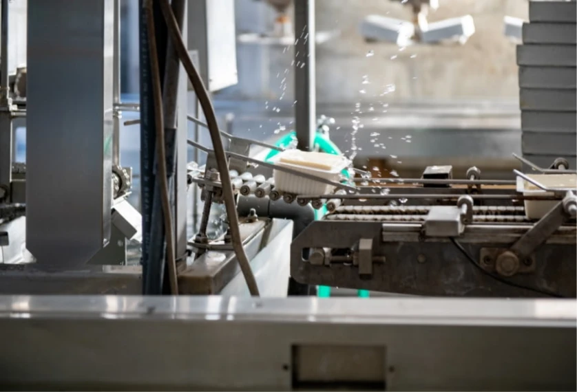 ヒラショクの故郷