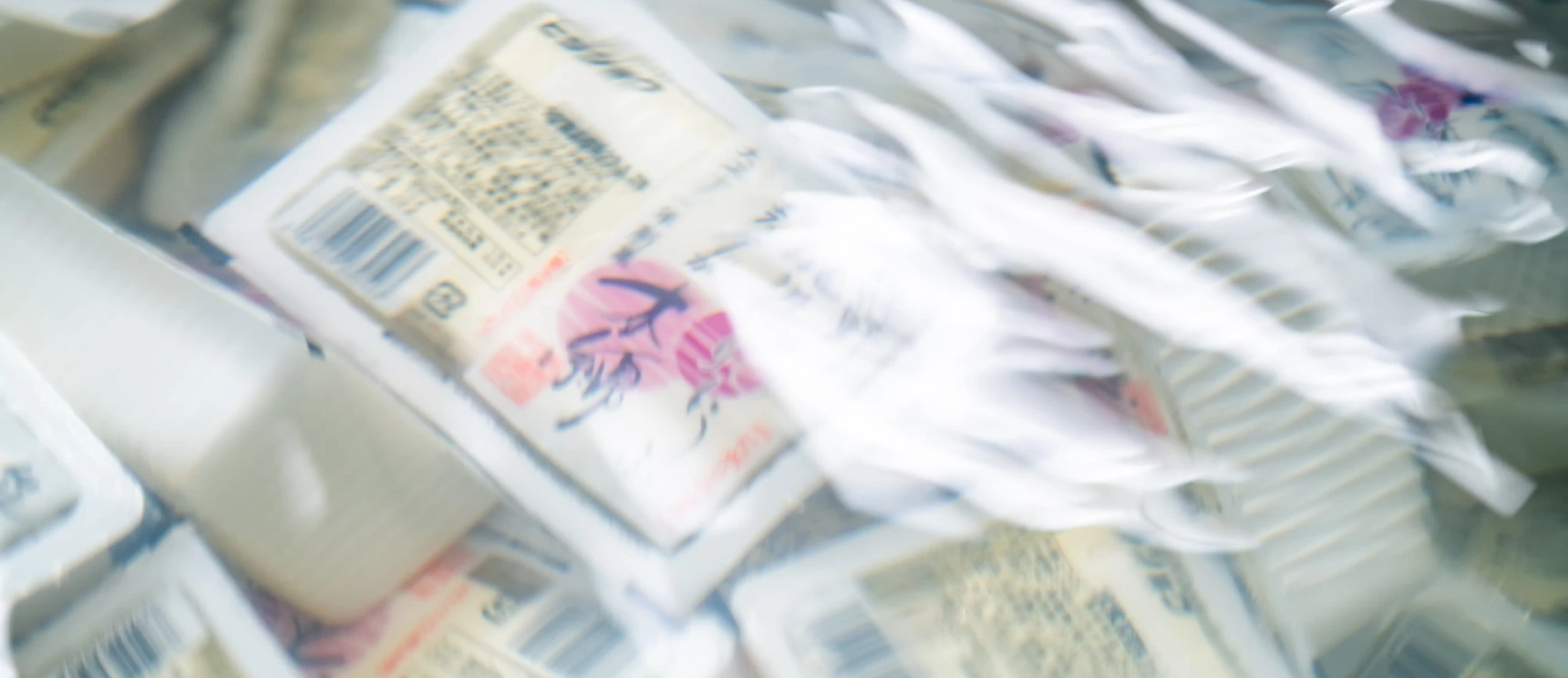 熊野の新宮という街